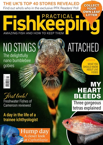 Practical Fishkeeping issue December 2023