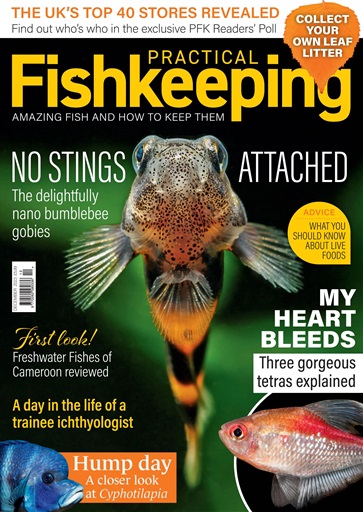 Practical Fishkeeping issue 