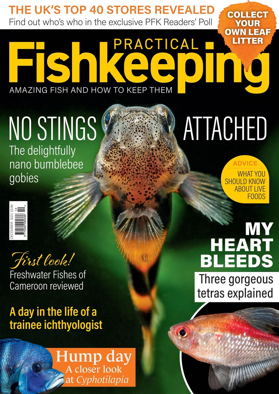 Practical Fishkeeping Preview Pages