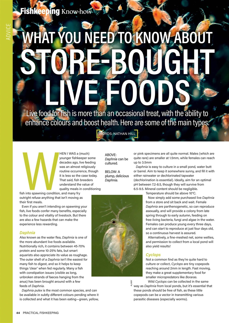 Practical Fishkeeping Preview Pages