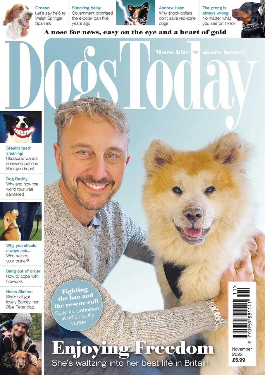 Dogs Today Magazine Preview Pages
