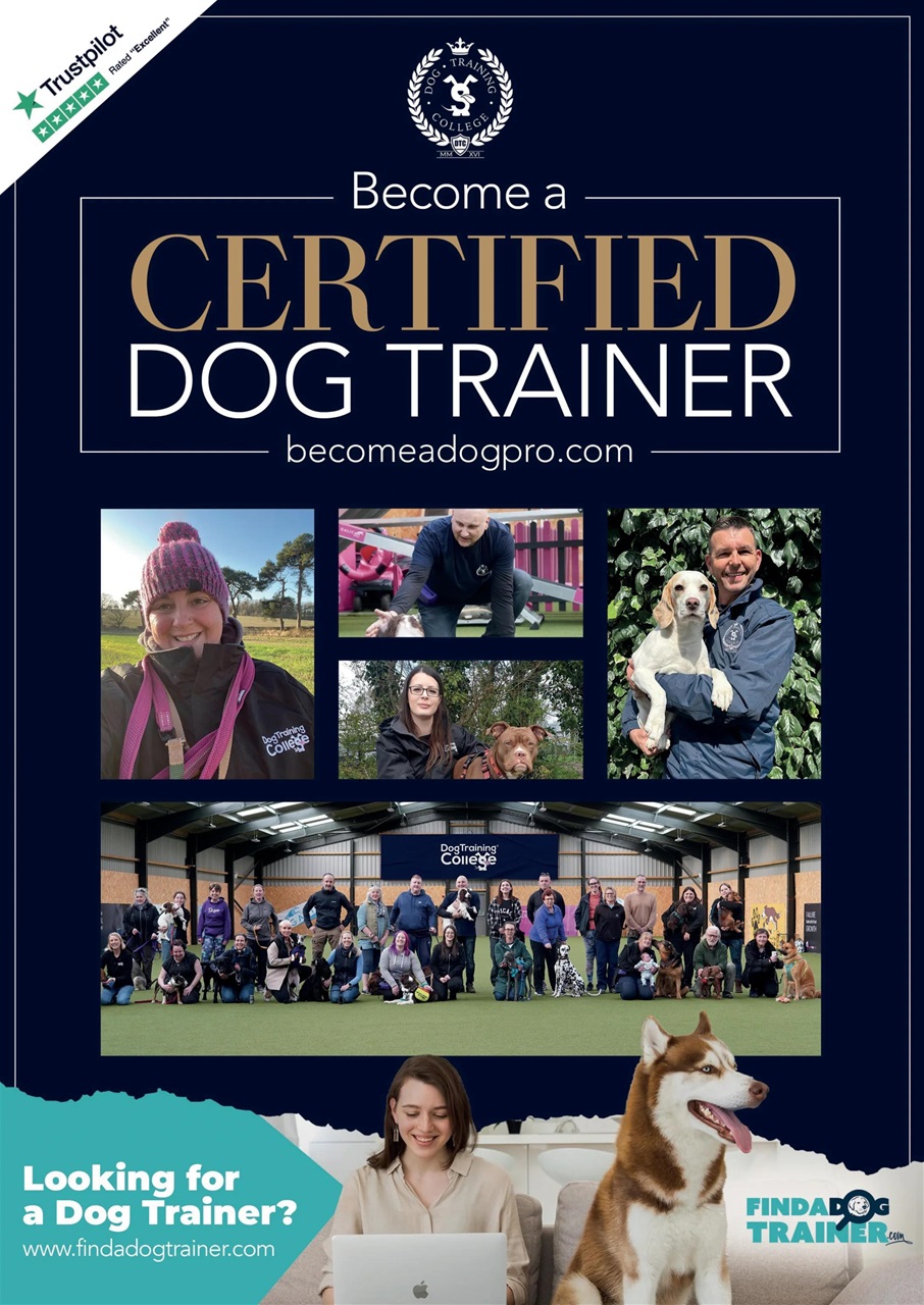 Dogs Today Magazine Preview Pages