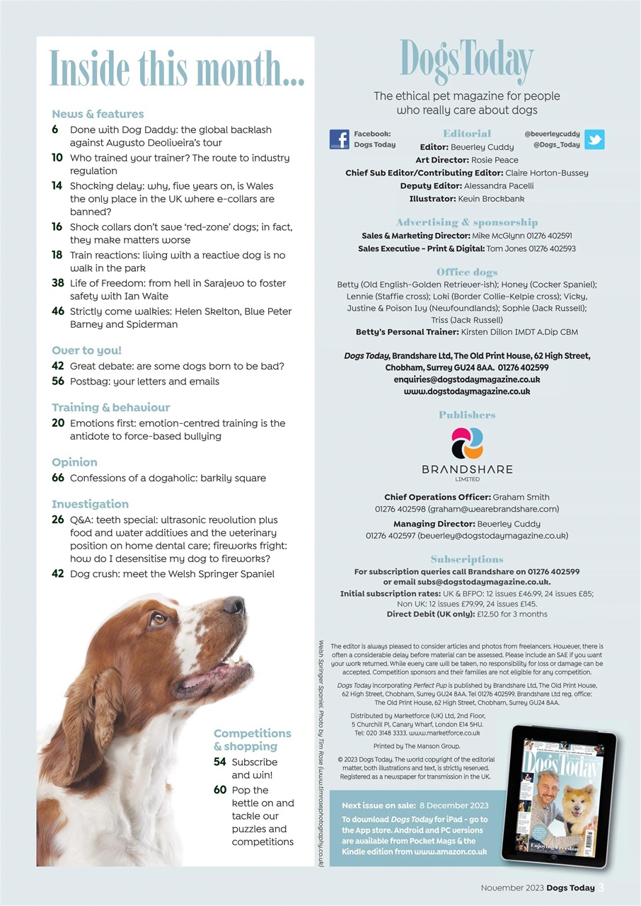 Dogs Today Magazine Preview Pages