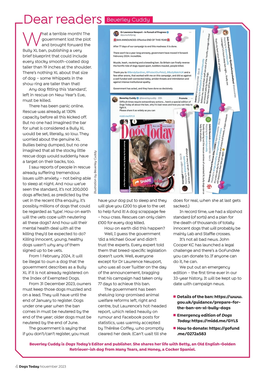 Dogs Today Magazine Preview Pages