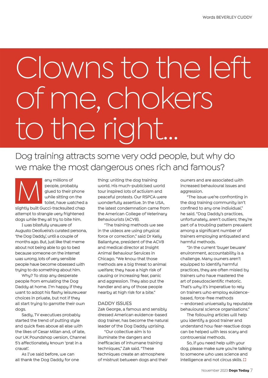 Dogs Today Magazine Preview Pages