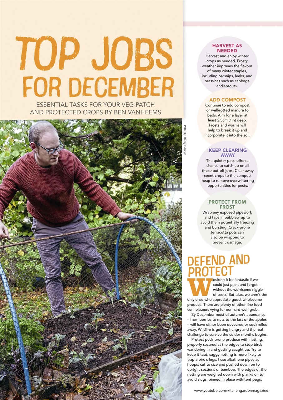 Kitchen Garden Magazine Preview Pages