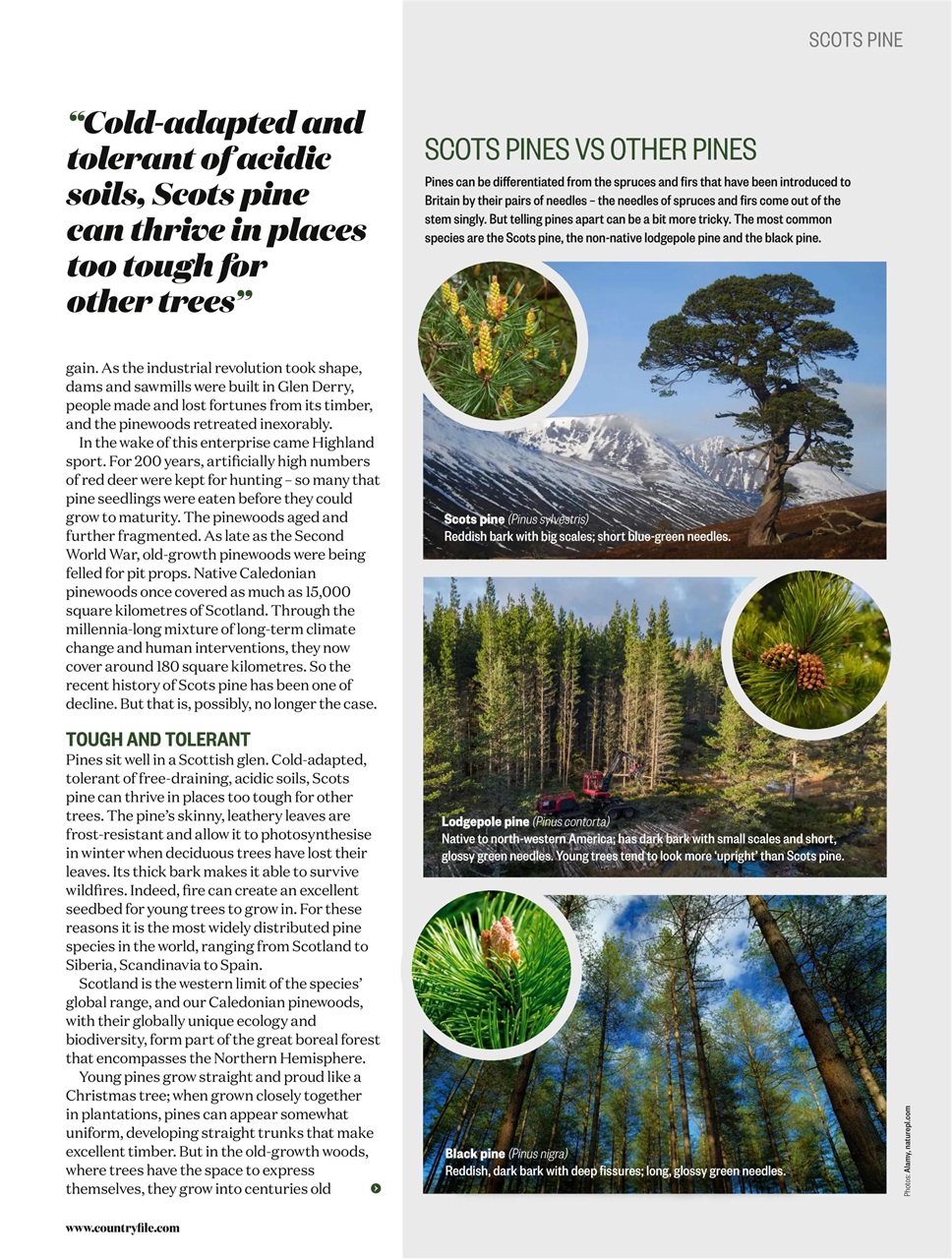 BBC Countryfile Magazine Preview Pages