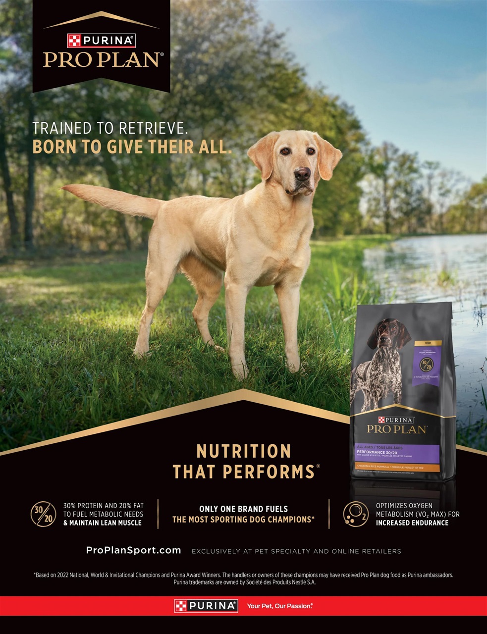 American Waterfowler Preview Pages