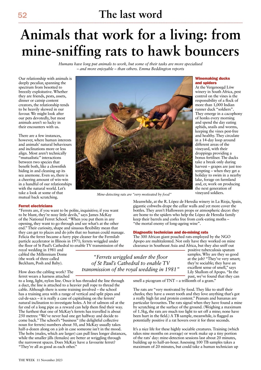 The Week Preview Pages