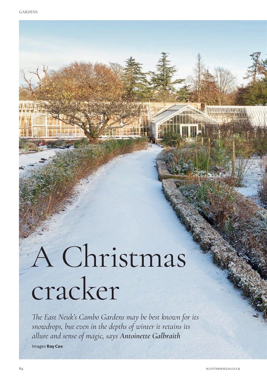 Scottish Field Preview Pages