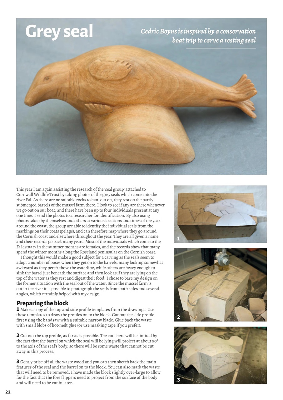 Woodcarving Preview Pages