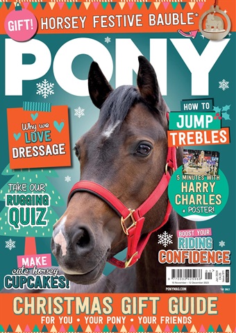 Pony Magazine issue PONY January 2024