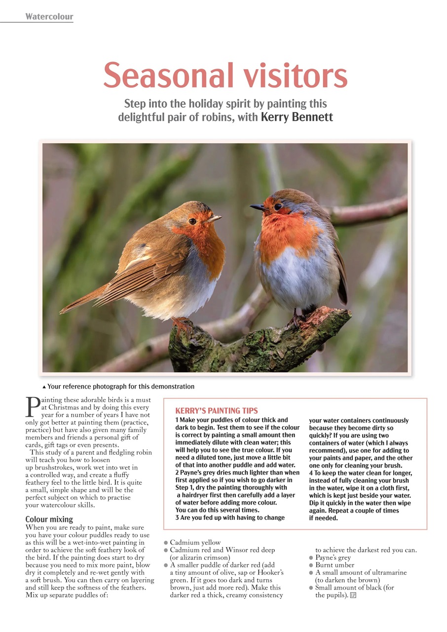 Leisure Painter & The Artist Preview Pages