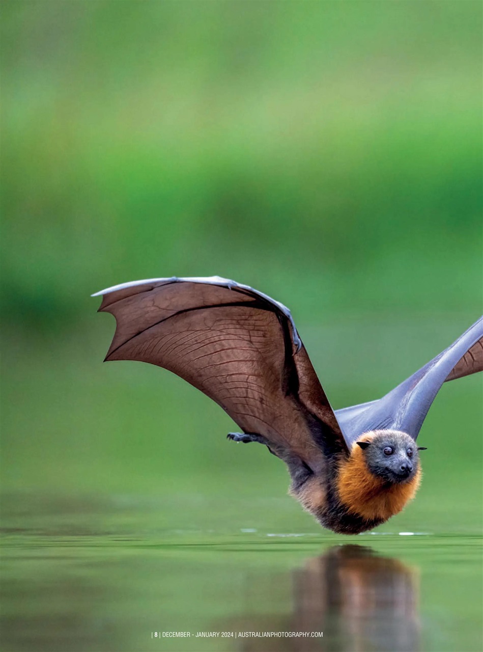 Australian Photography Preview Pages