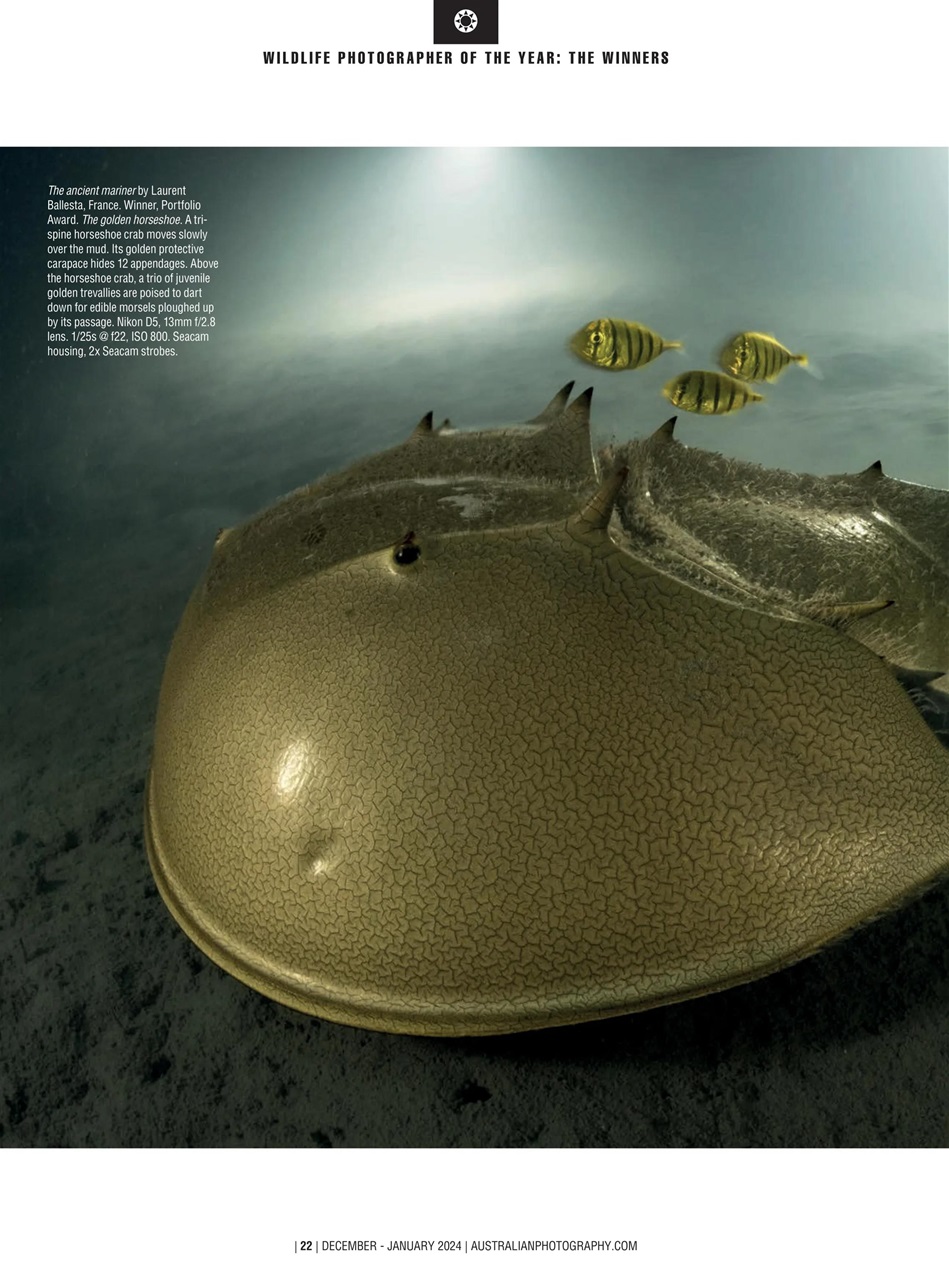 Australian Photography Preview Pages