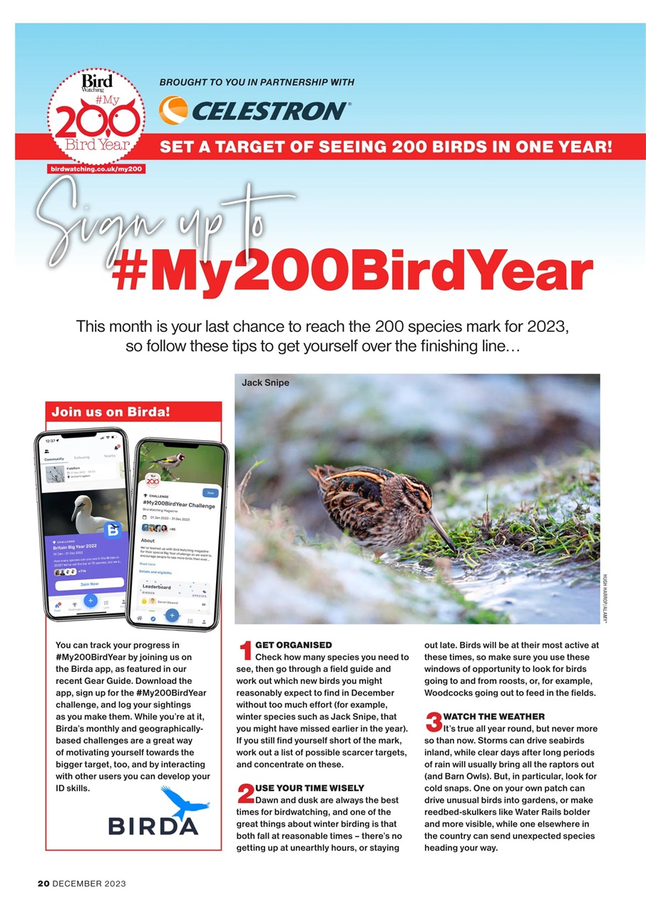 Bird Watching Preview Pages