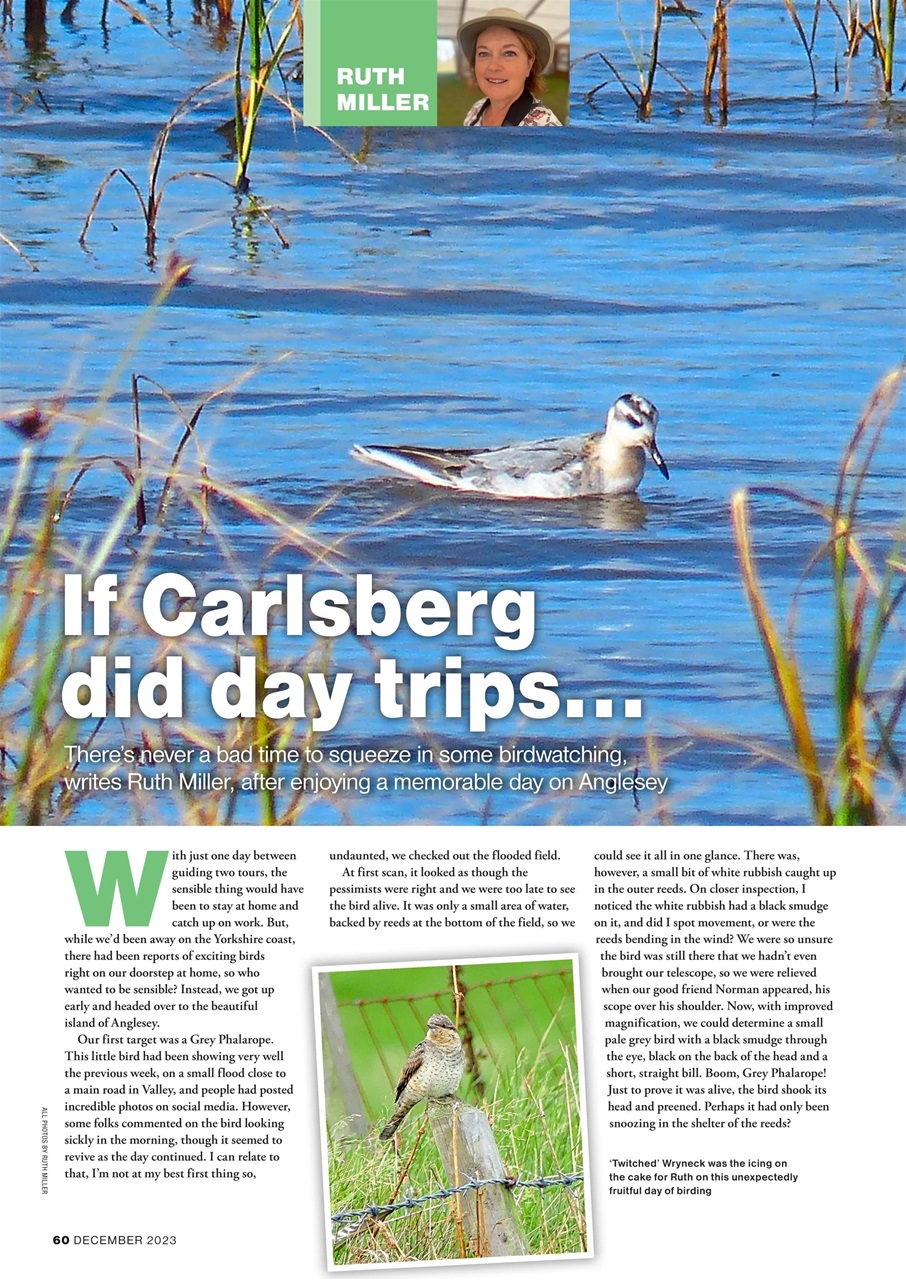 Bird Watching Preview Pages