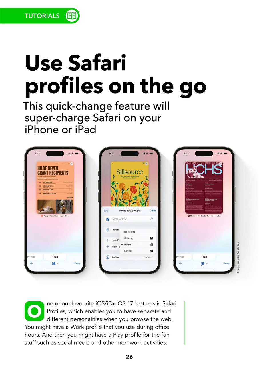 iPad User Preview Pages