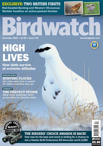 Birdwatch Magazine issue December 2023