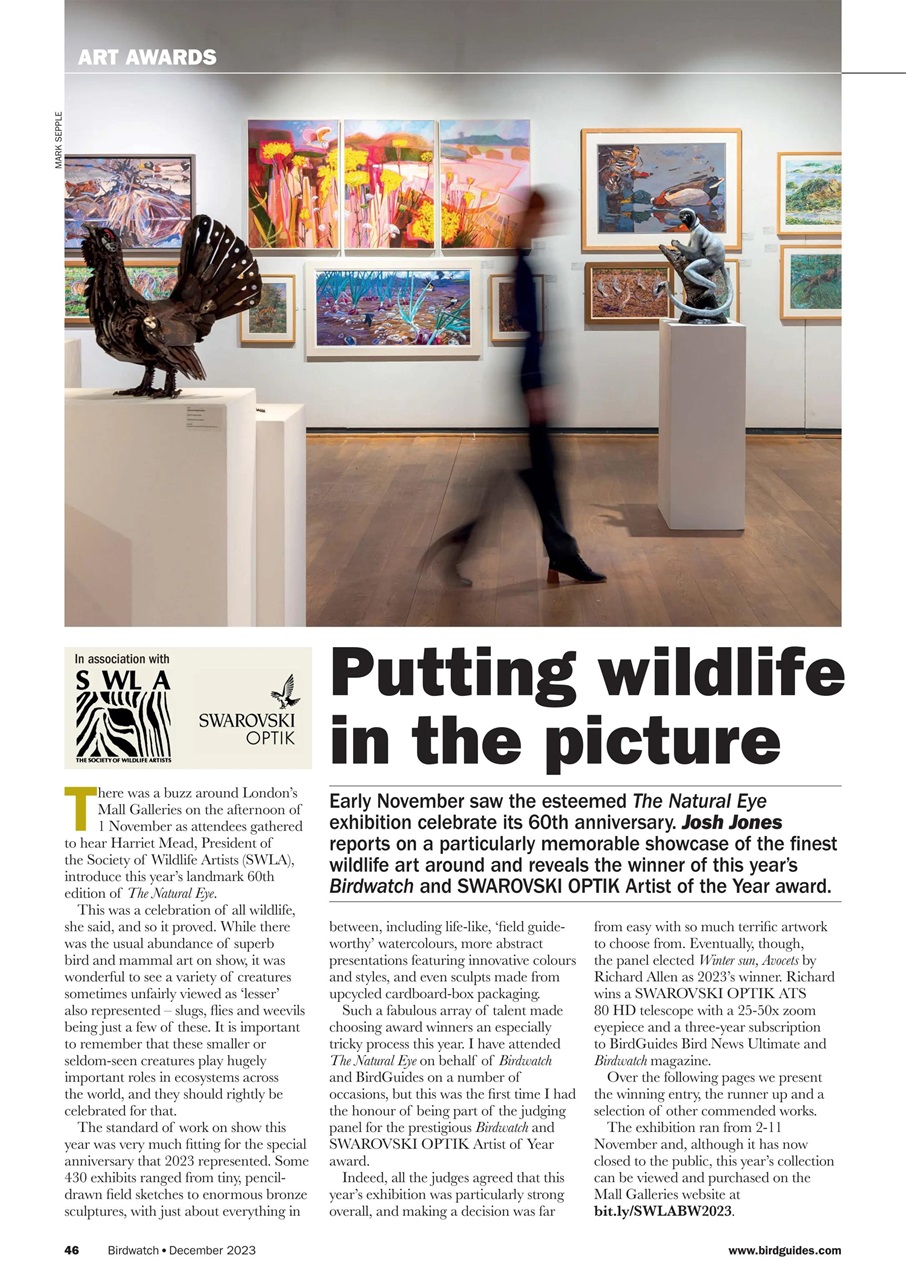 Birdwatch Magazine Preview Pages