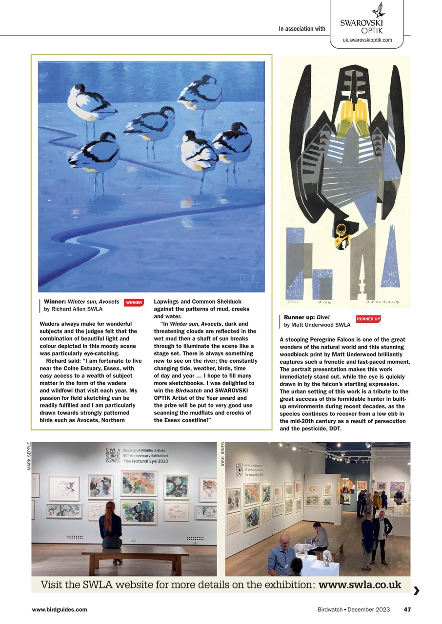 Birdwatch Magazine Preview Pages