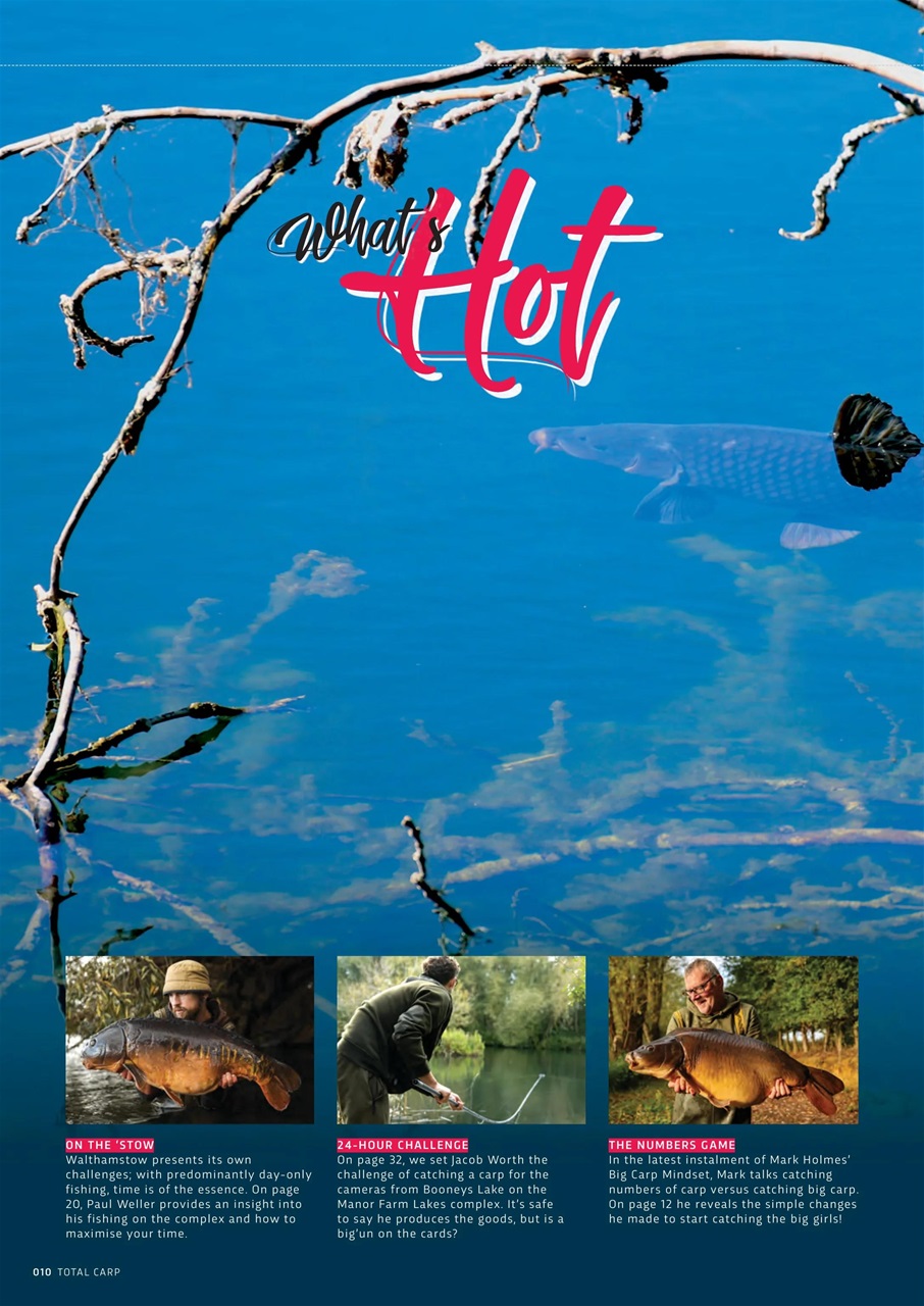 Total Carp Preview Pages