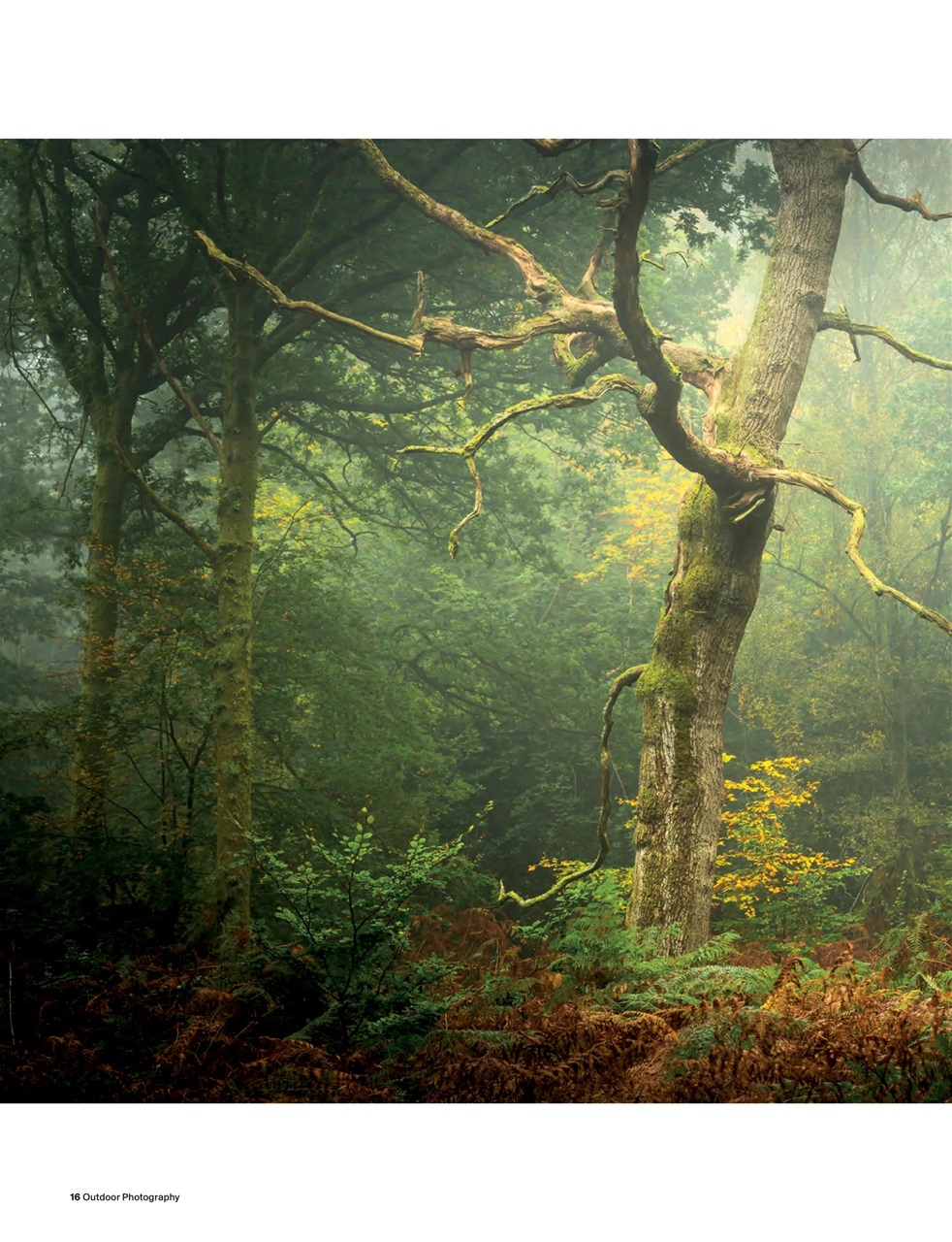 Outdoor Photography Preview Pages