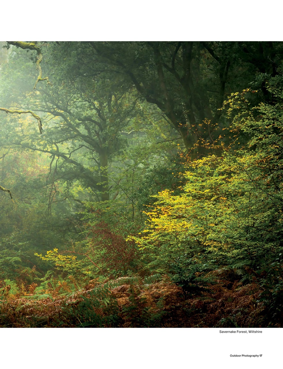 Outdoor Photography Preview Pages