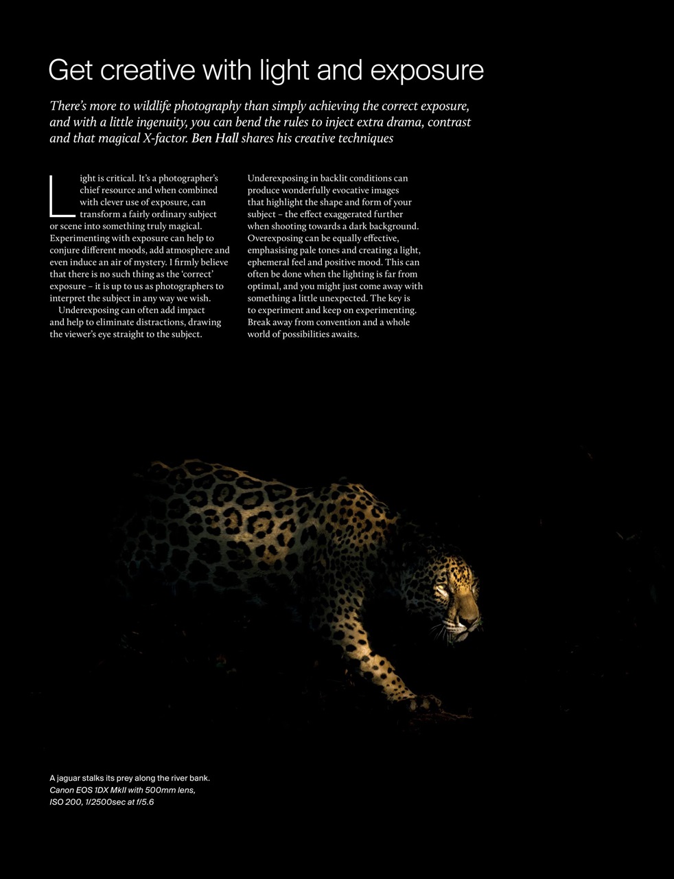 Outdoor Photography Preview Pages