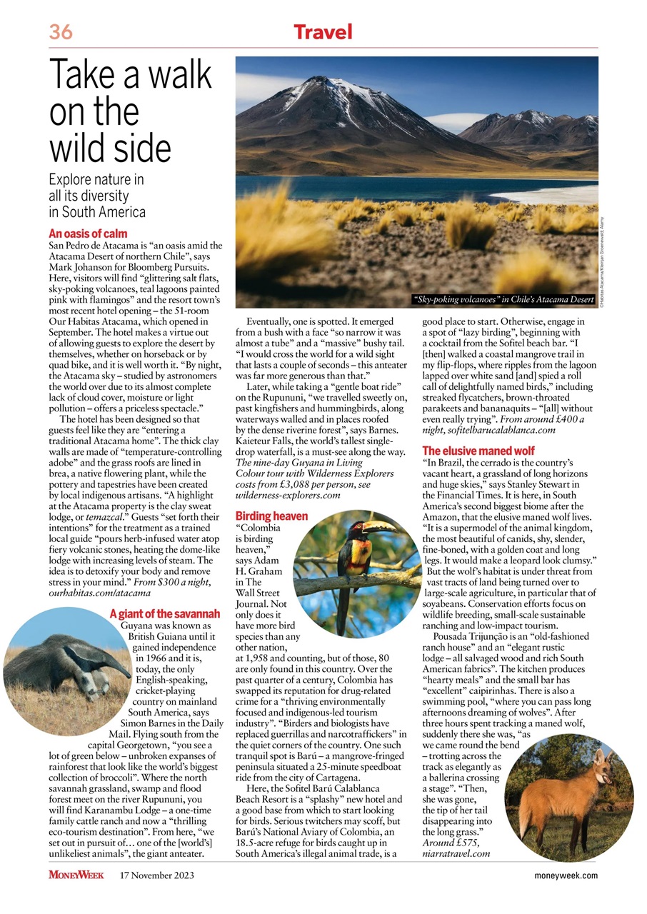 MoneyWeek Preview Pages