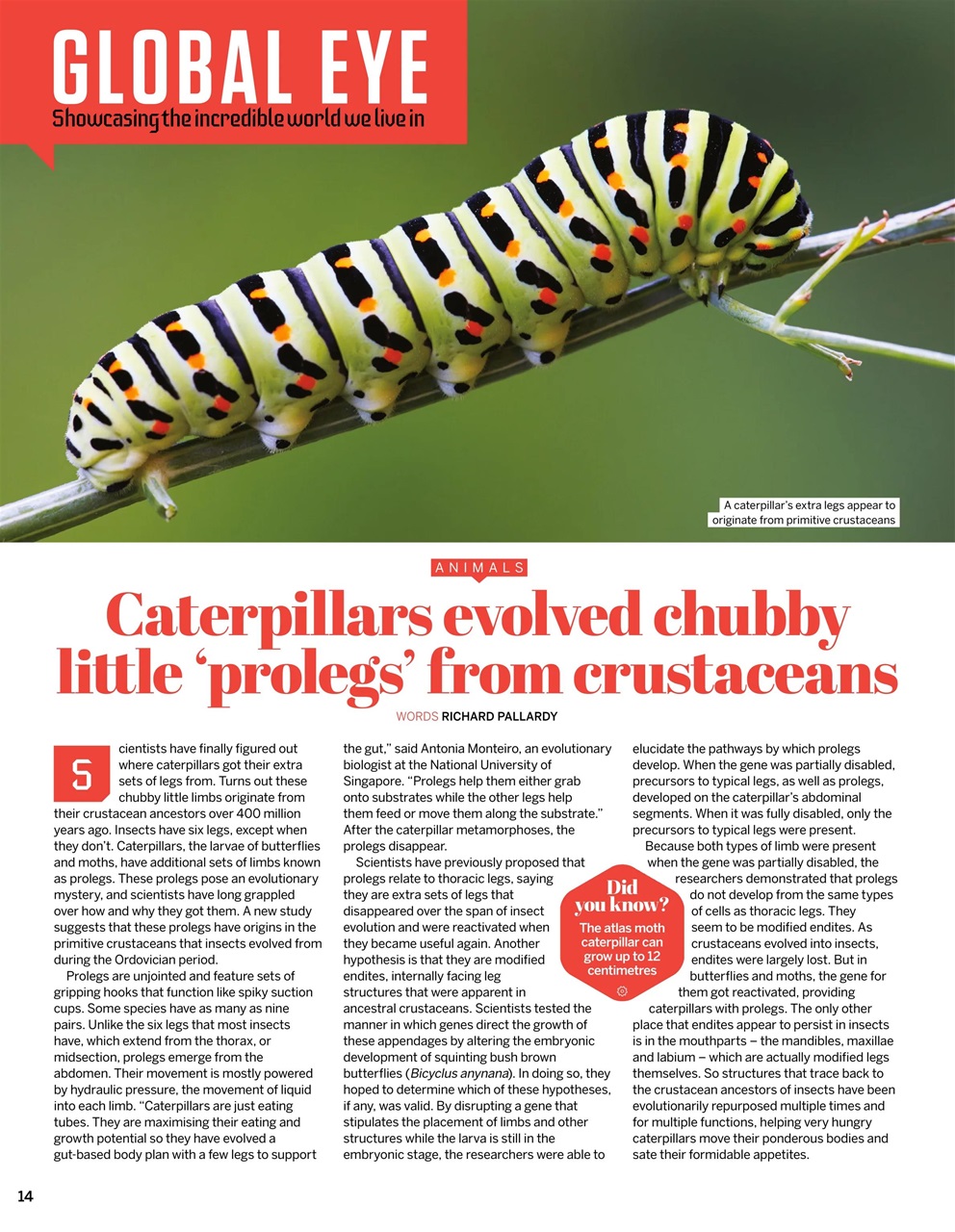 How It Works Preview Pages