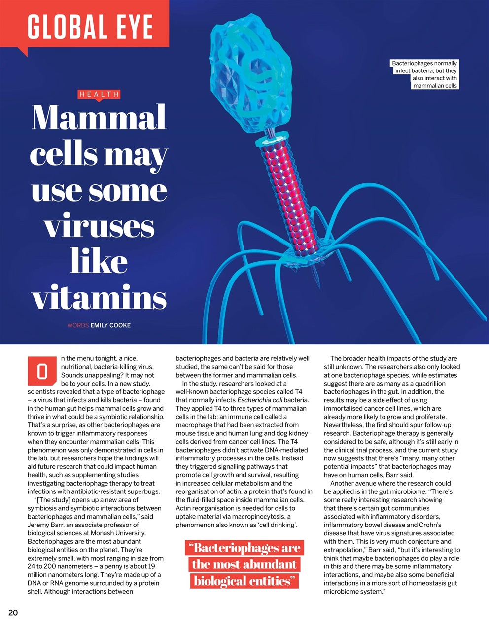 How It Works Preview Pages