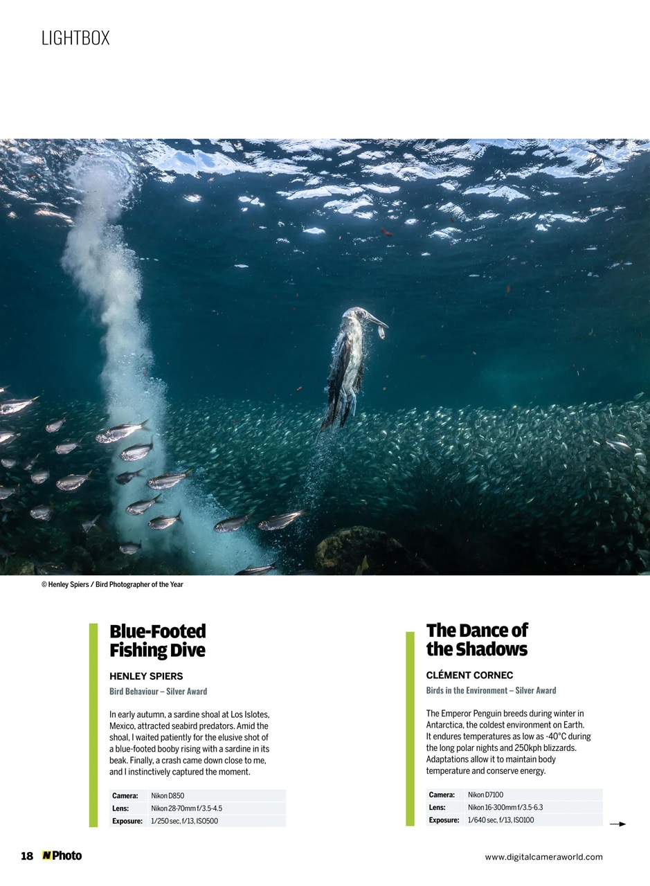 N-Photo Preview Pages