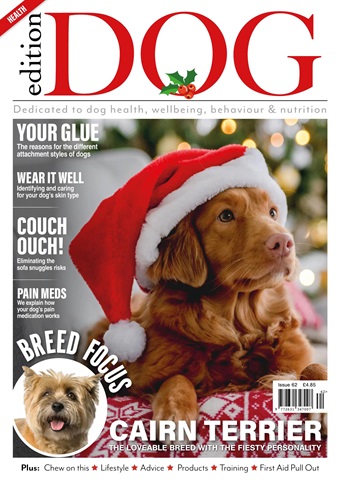 Edition Dog issue Edition Dog Issue 62