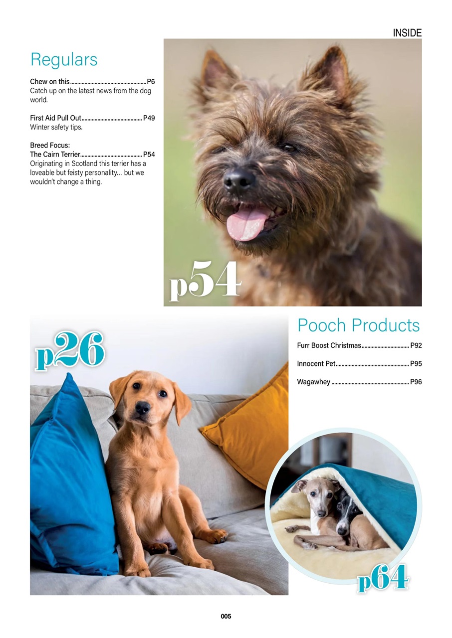 Edition Dog Preview Pages