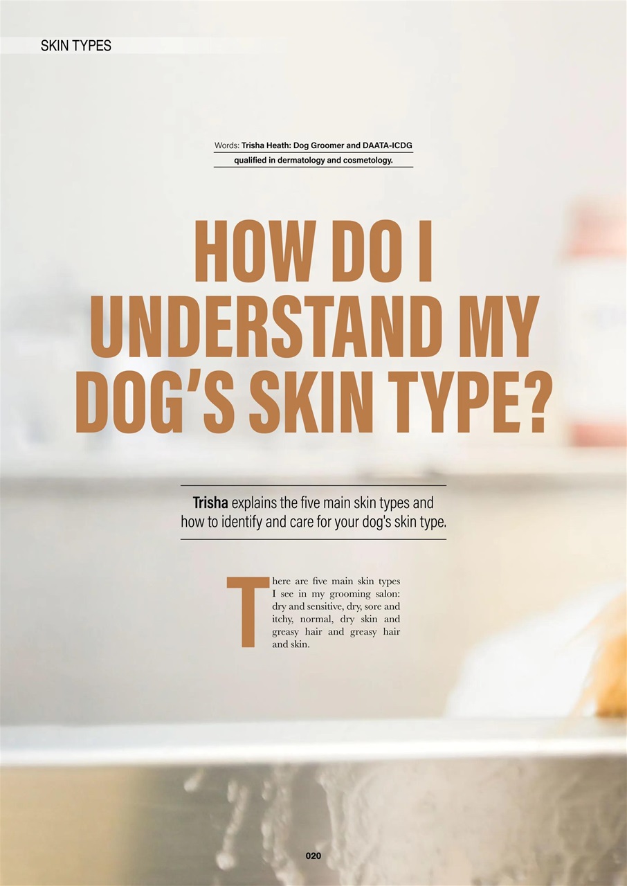 Edition Dog Preview Pages