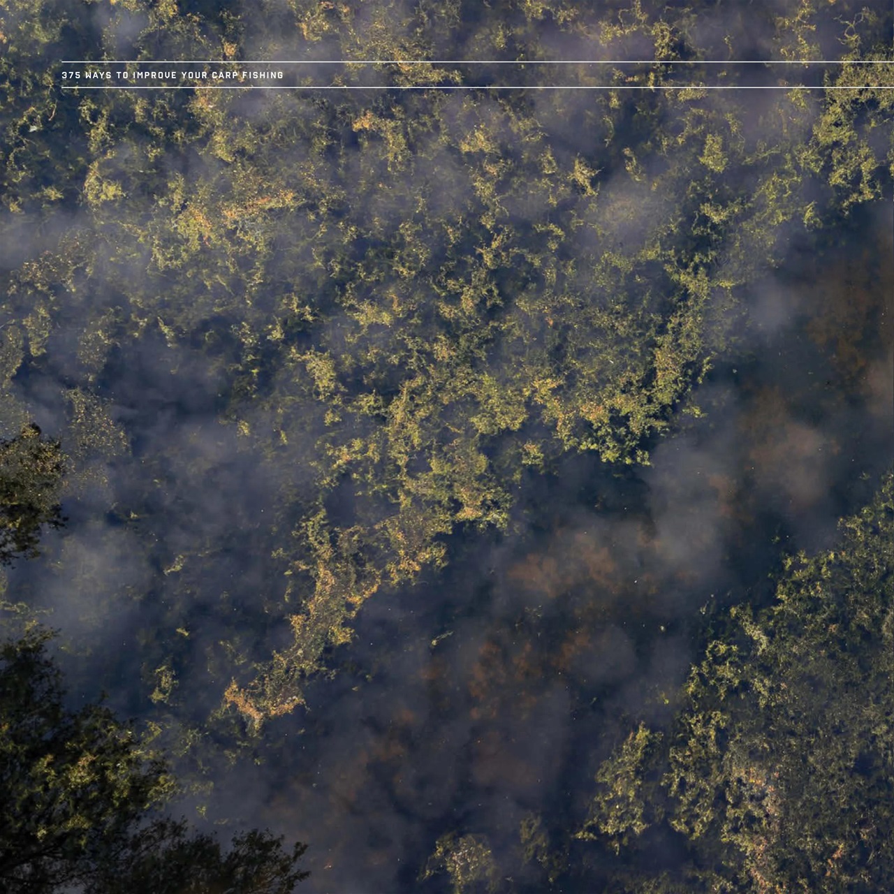 CARPology Magazine Preview Pages