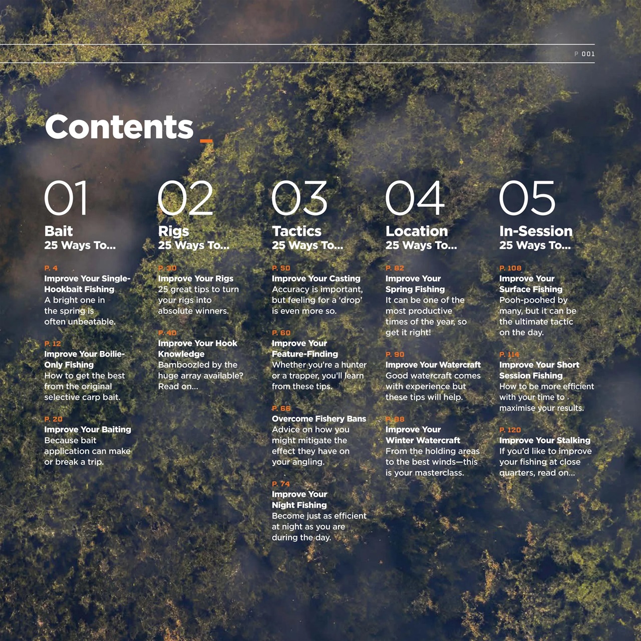 CARPology Magazine Preview Pages