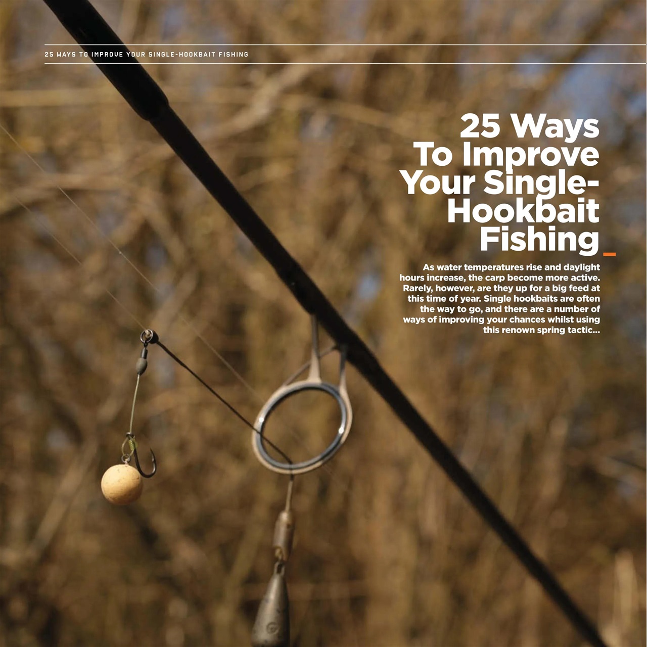 CARPology Magazine Preview Pages