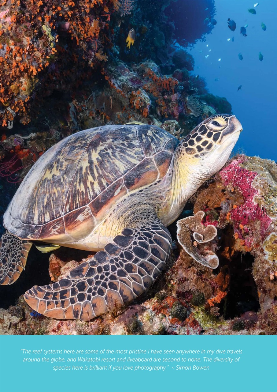 Geographical Preview Pages