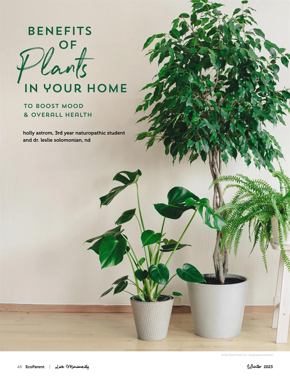 Ecoparent Magazine Preview Pages