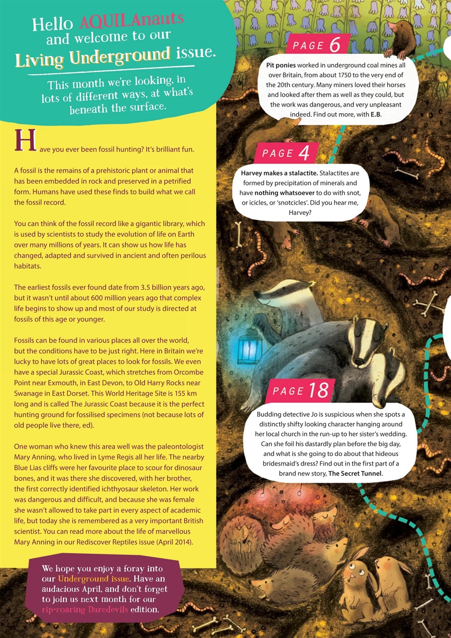 Aquila Preview Pages
