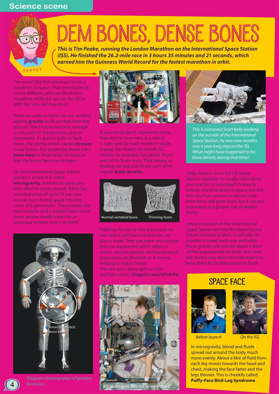 Aquila Preview Pages