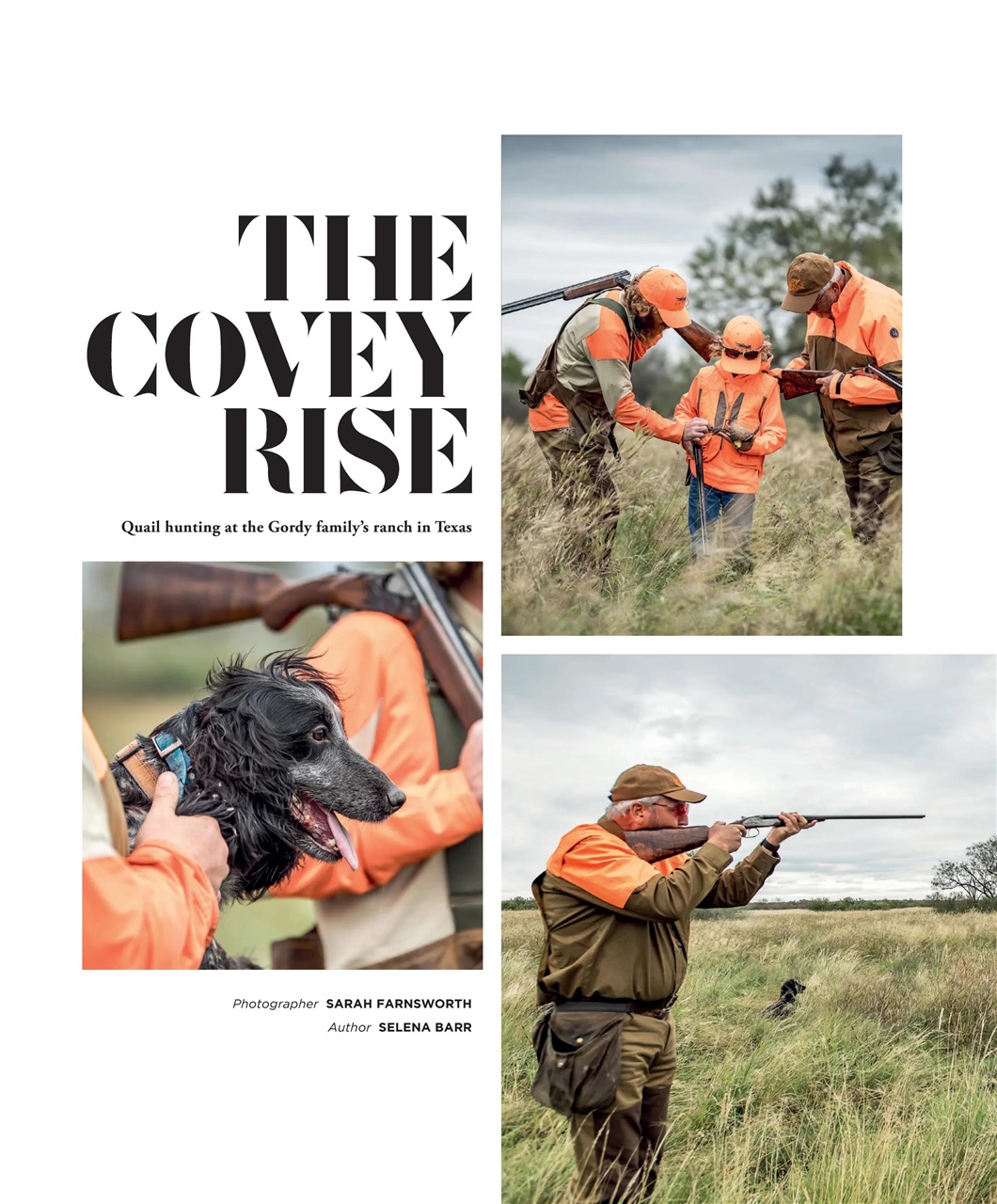 Fieldsports Journal Preview Pages