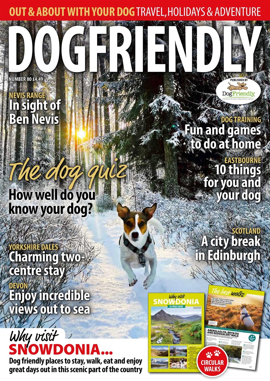 Dog Friendly Preview Pages