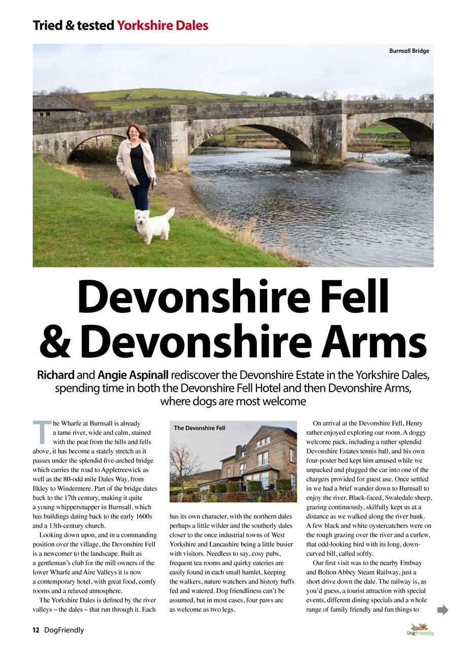 Dog Friendly Preview Pages