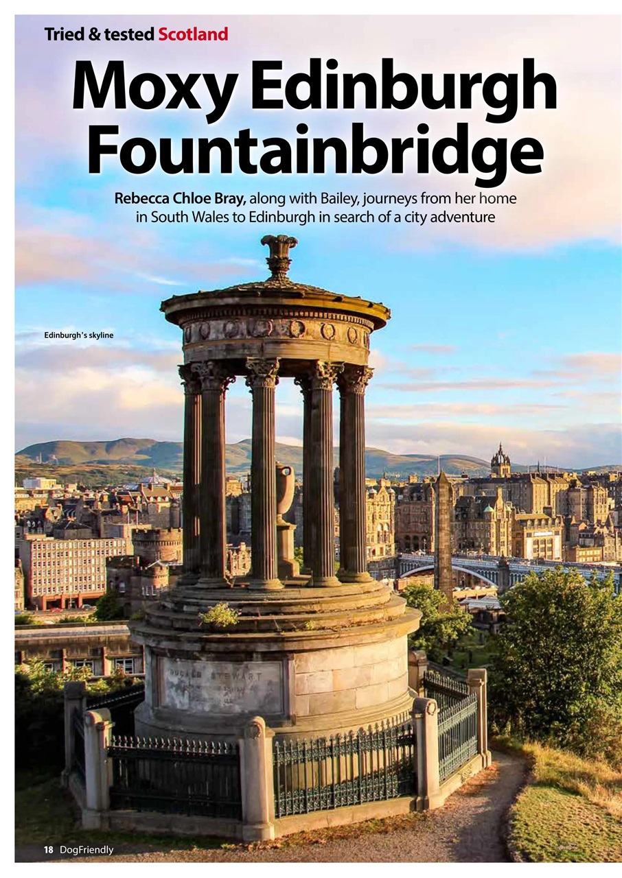 Dog Friendly Preview Pages