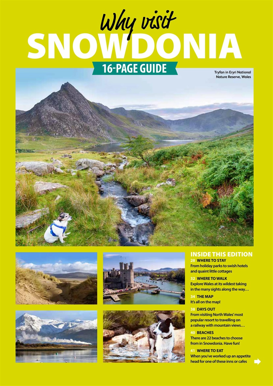 Dog Friendly Preview Pages