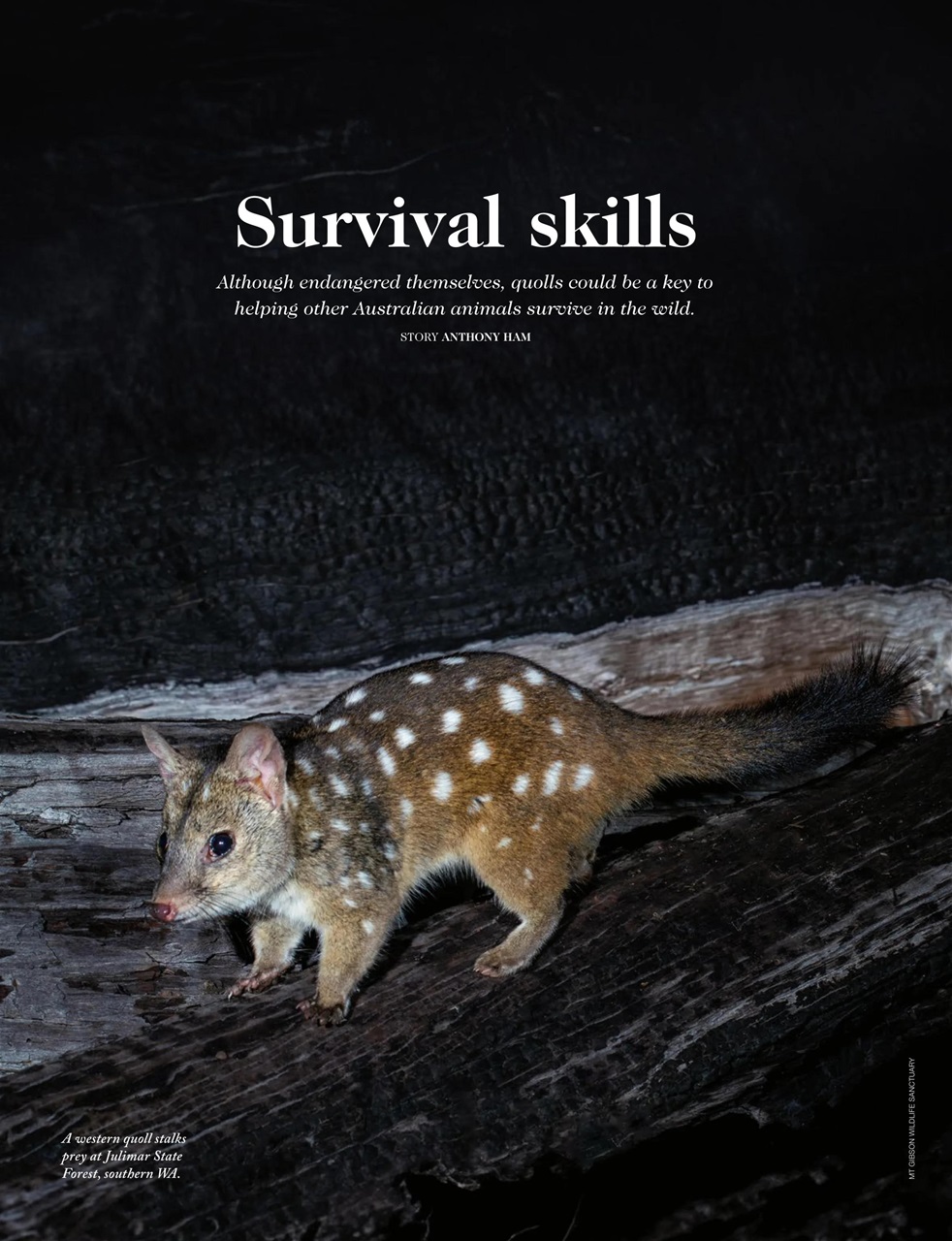 OUTBACK Magazine Preview Pages