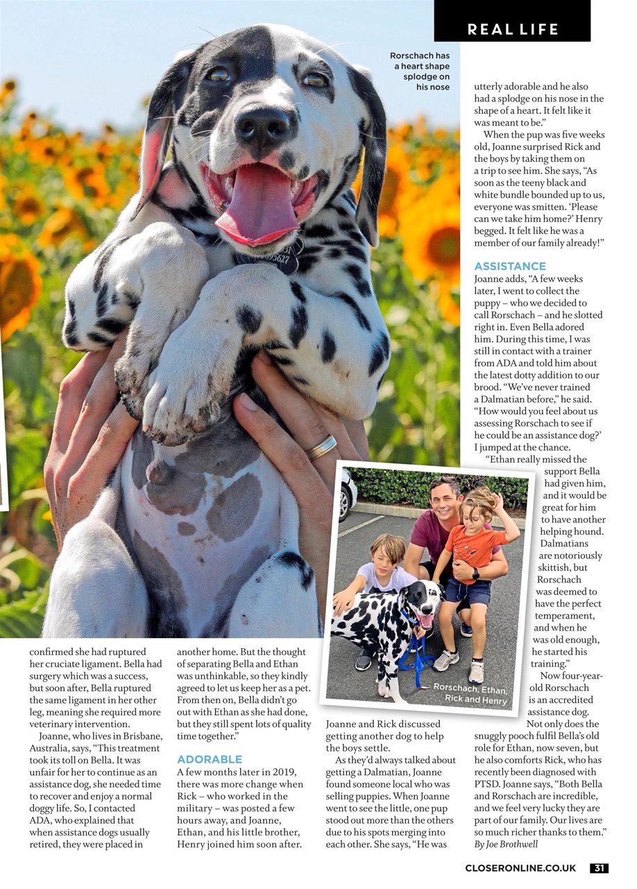 Closer Preview Pages